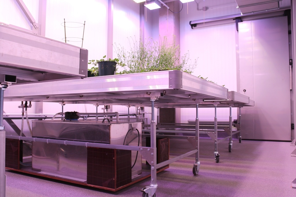 ������������� ������ ��� ��������