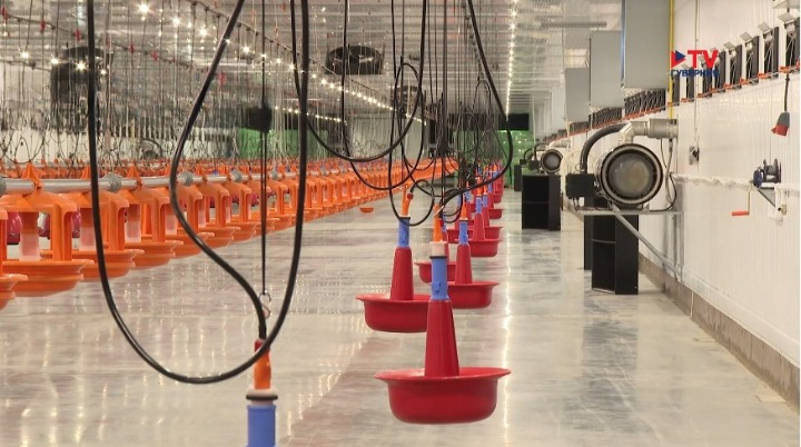 �������������� �������