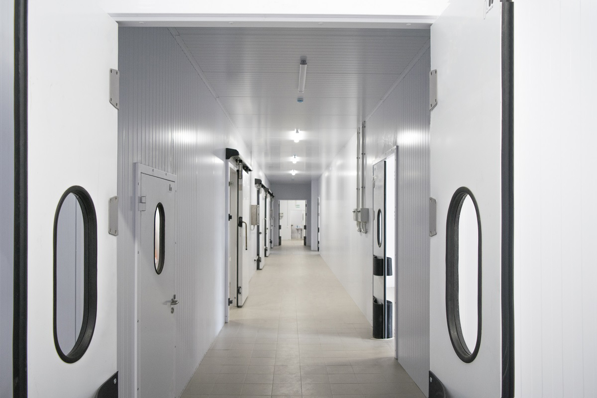 ����������� � ����������� ������ � ��������� ������������