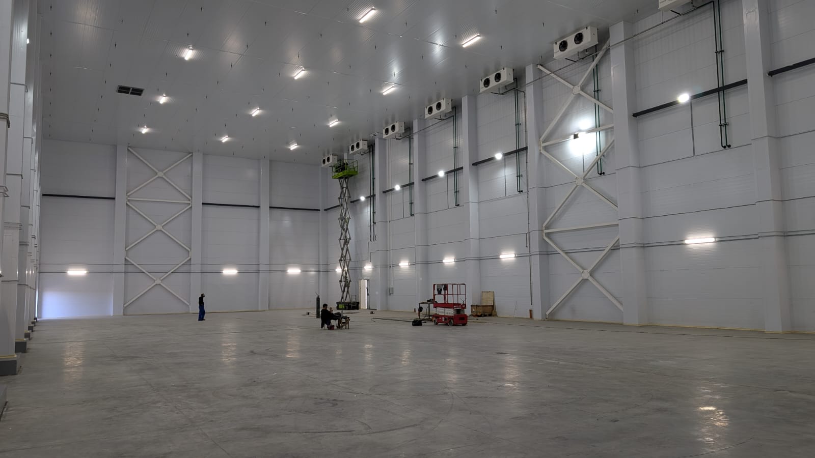 ������������ ������� ���