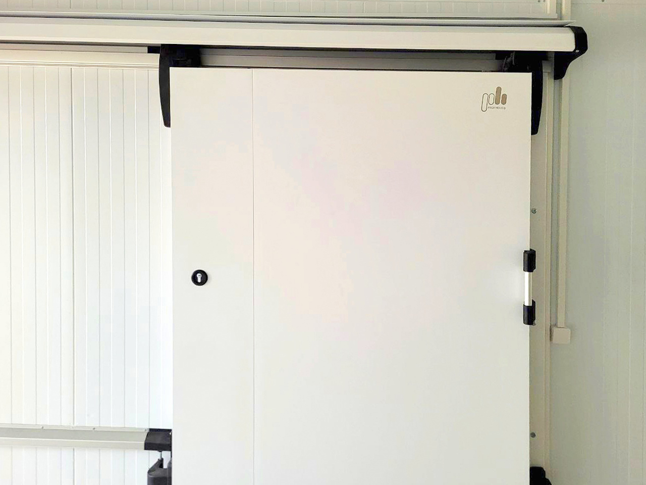 ������ ���